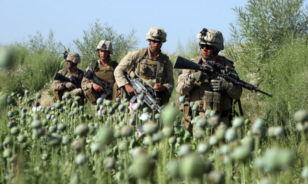The War in Afghanistan: The real ‘Crime of the Century’ behind the Opioid Crisis