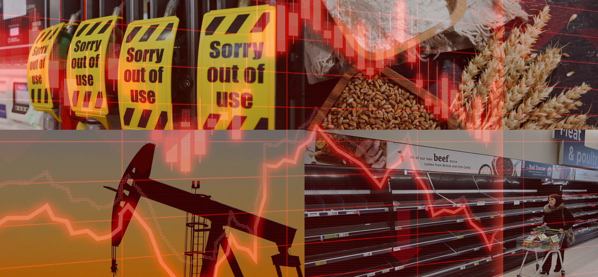 Is Russia the REAL target of Western sanctions? Soaring oil prices, energy and food crises on the horizon…is it possible the REAL target of this economic war is  ?
