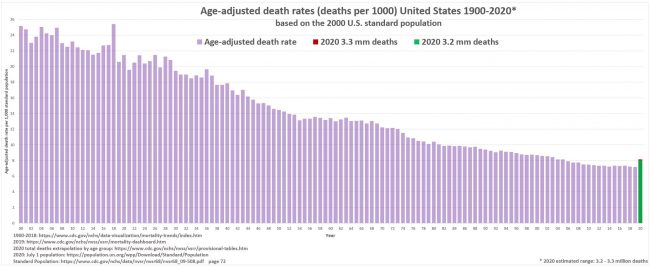 us-mortality-1900-2020-age-adjusted-650x267.jpg?x12859